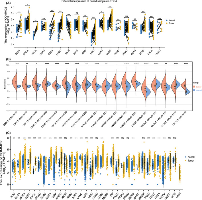 PMC10242316 – cam45320-fig-0001