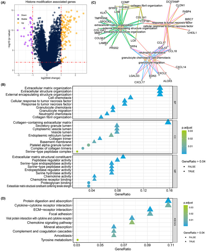 PMC10278465 – cam45945-fig-0005