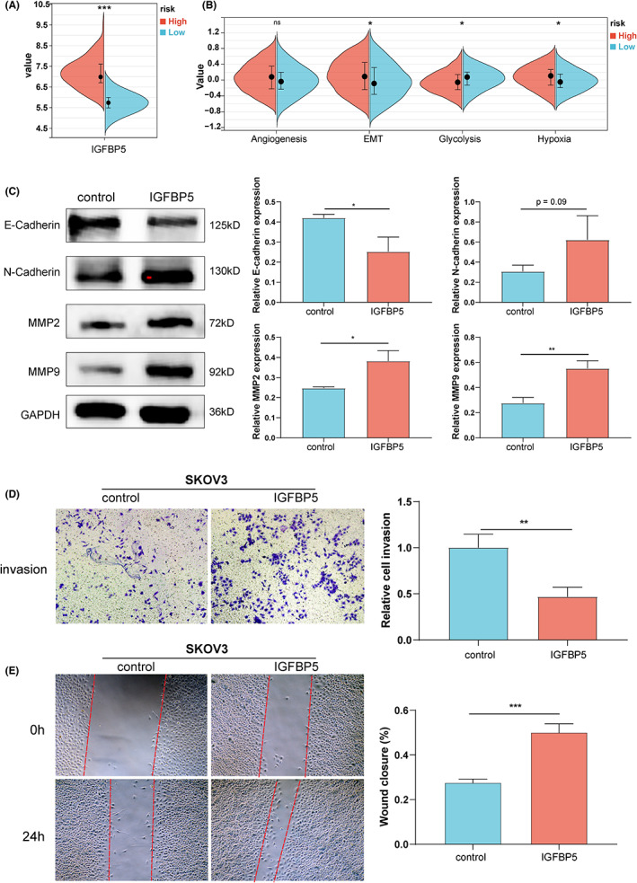 PMC10358252 – cam46073-fig-0008