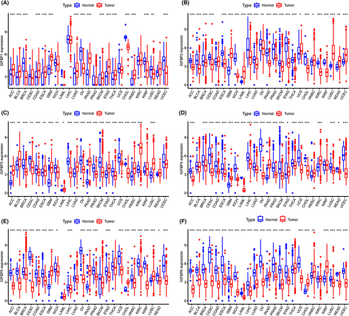 PMC10358252 – cam46073-fig-0001