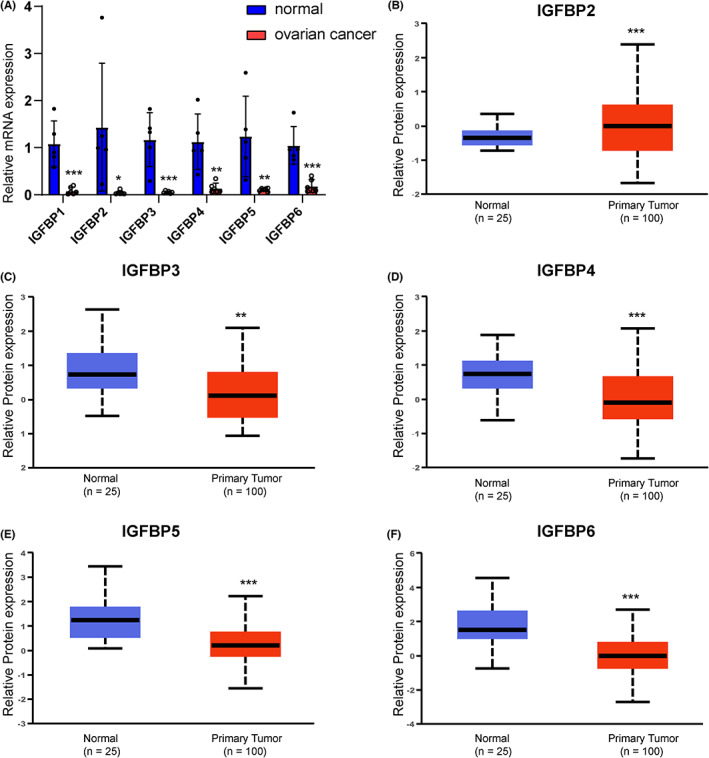 PMC10358252 – cam46073-fig-0006