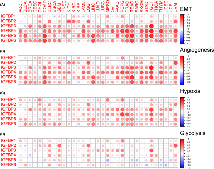 PMC10358252 – cam46073-fig-0004