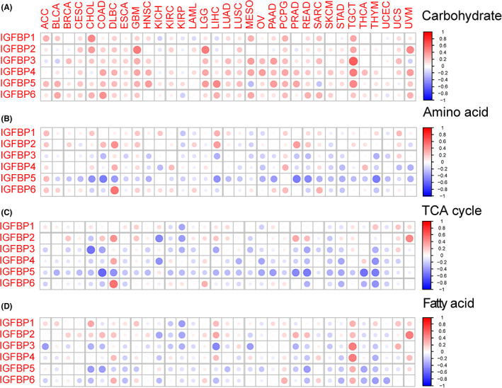 PMC10358252 – cam46073-fig-0005