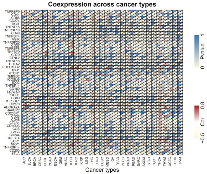 PMC9972146 – cam45177-fig-0008