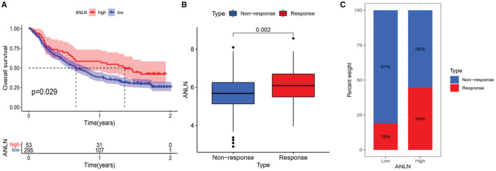PMC9972146 – cam45177-fig-0009