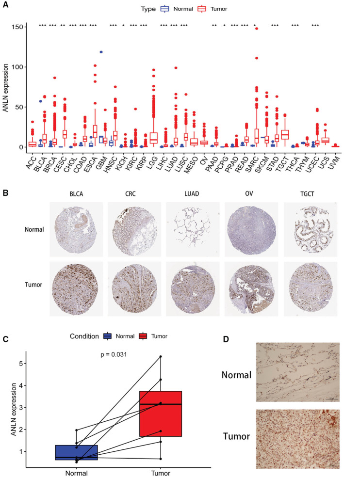 PMC9972146 – cam45177-fig-0001