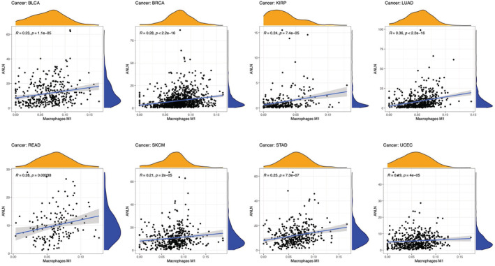 PMC9972146 – cam45177-fig-0006