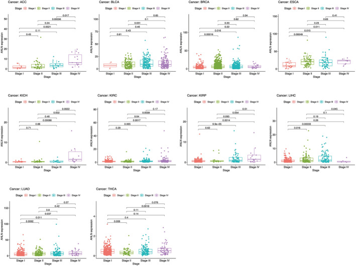 PMC9972146 – cam45177-fig-0004