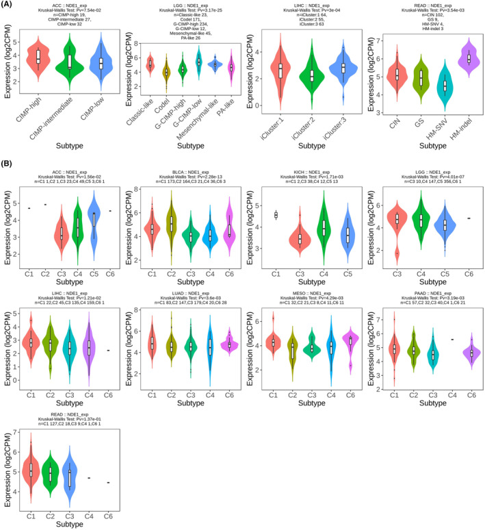 PMC10926885 – cam46931-fig-0007