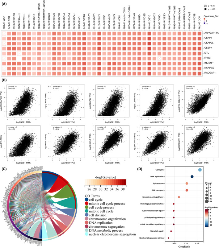 PMC10926885 – cam46931-fig-0008