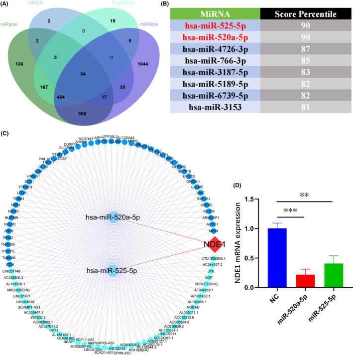 PMC10926885 – cam46931-fig-0009