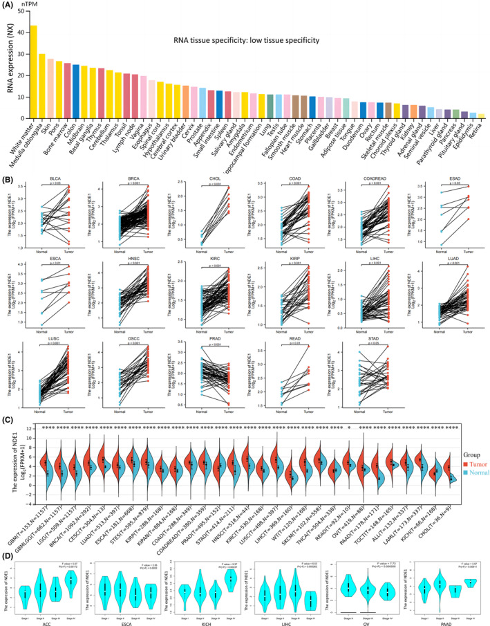 PMC10926885 – cam46931-fig-0001
