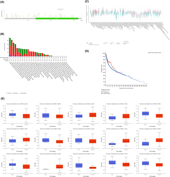 PMC10926885 – cam46931-fig-0003