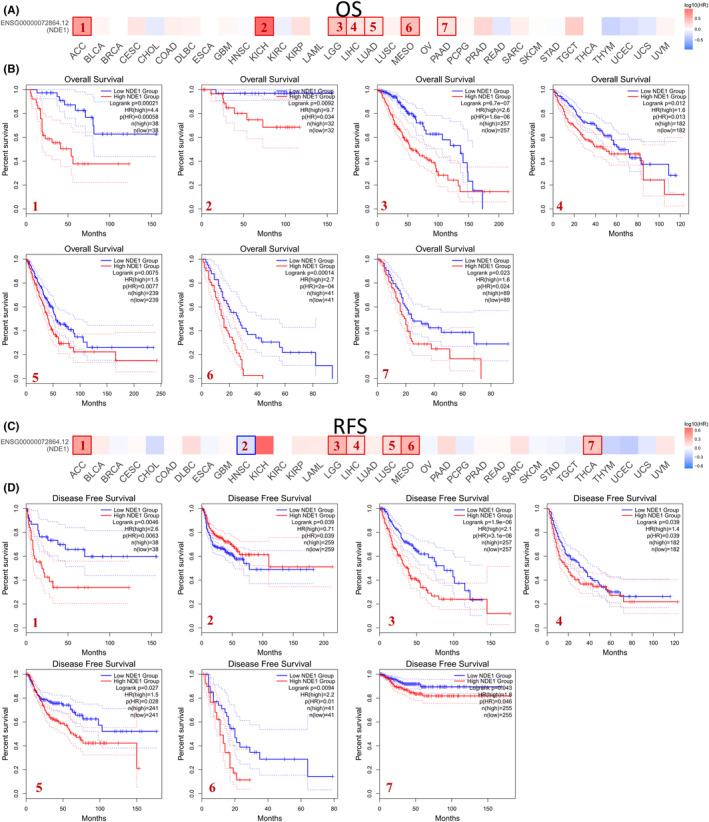 PMC10926885 – cam46931-fig-0002