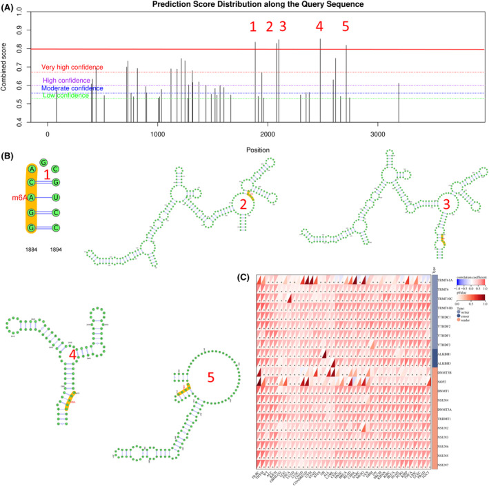 PMC10926885 – cam46931-fig-0005