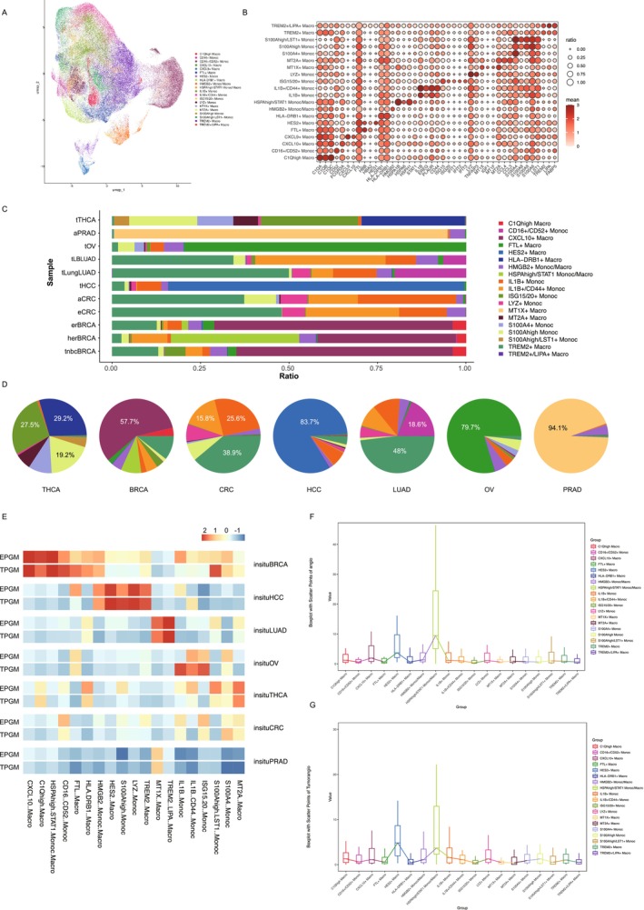 PMC11551789 – cam470373-fig-0003