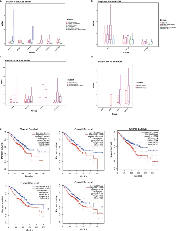 PMC11551789 – cam470373-fig-0004