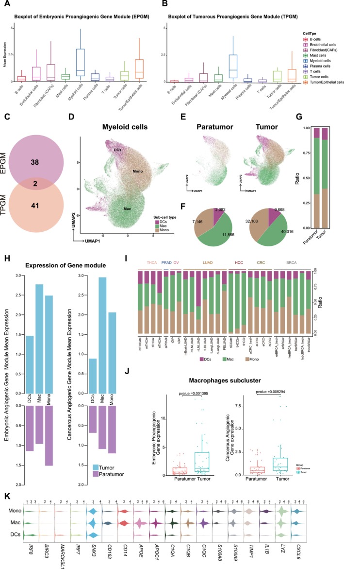 PMC11551789 – cam470373-fig-0002