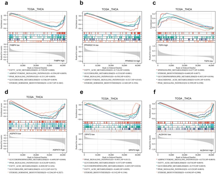 PMC11928767 – cam470819-fig-0006