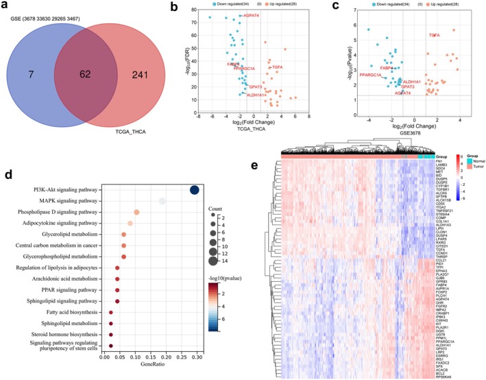 PMC11928767 – cam470819-fig-0001