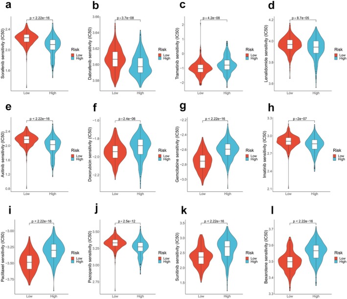 PMC11928767 – cam470819-fig-0005