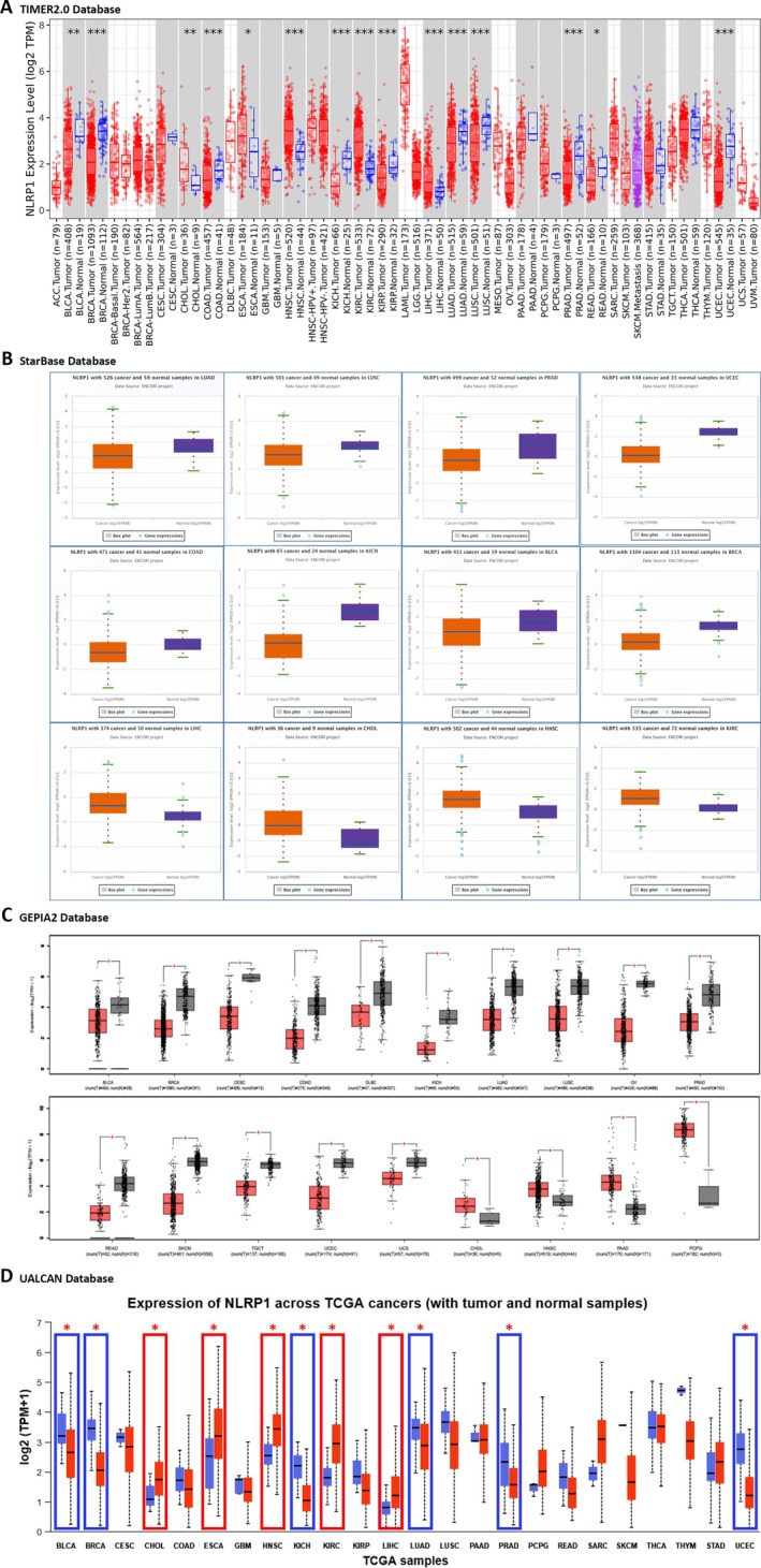 PMC12001265 – cam470836-fig-0002