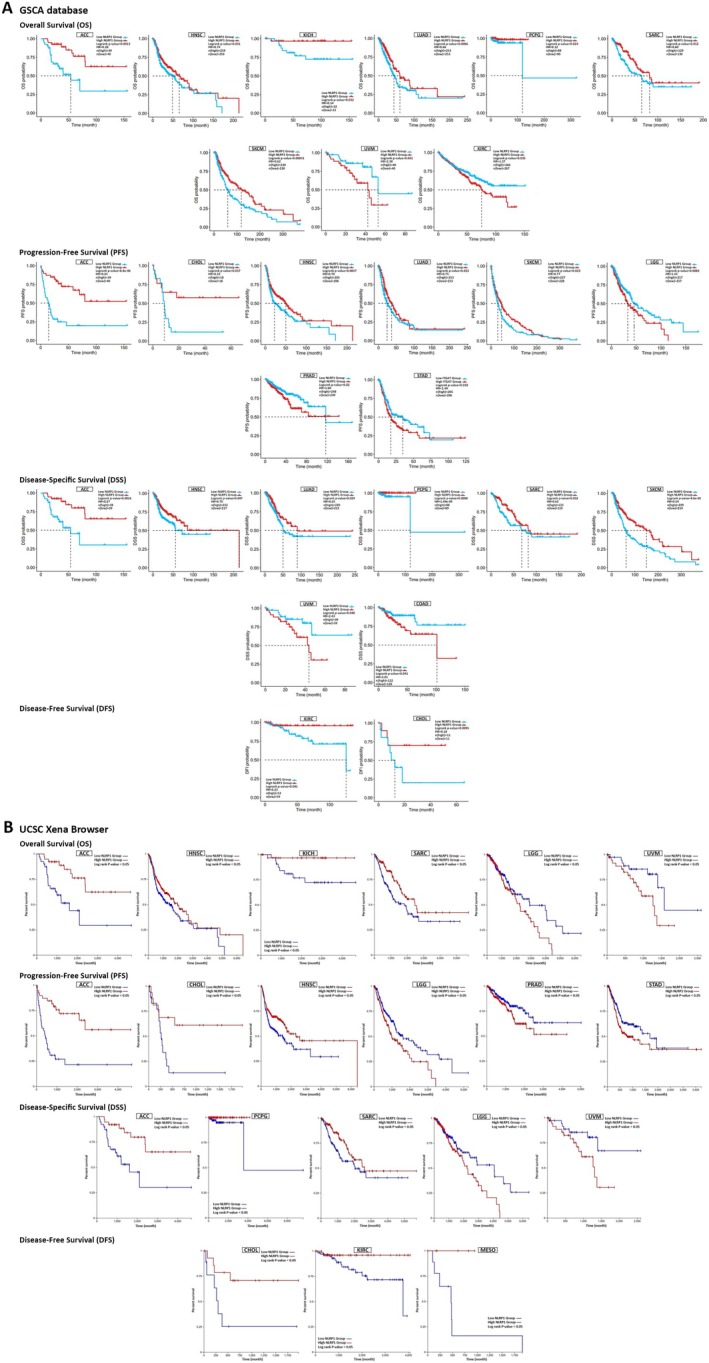 PMC12001265 – cam470836-fig-0004