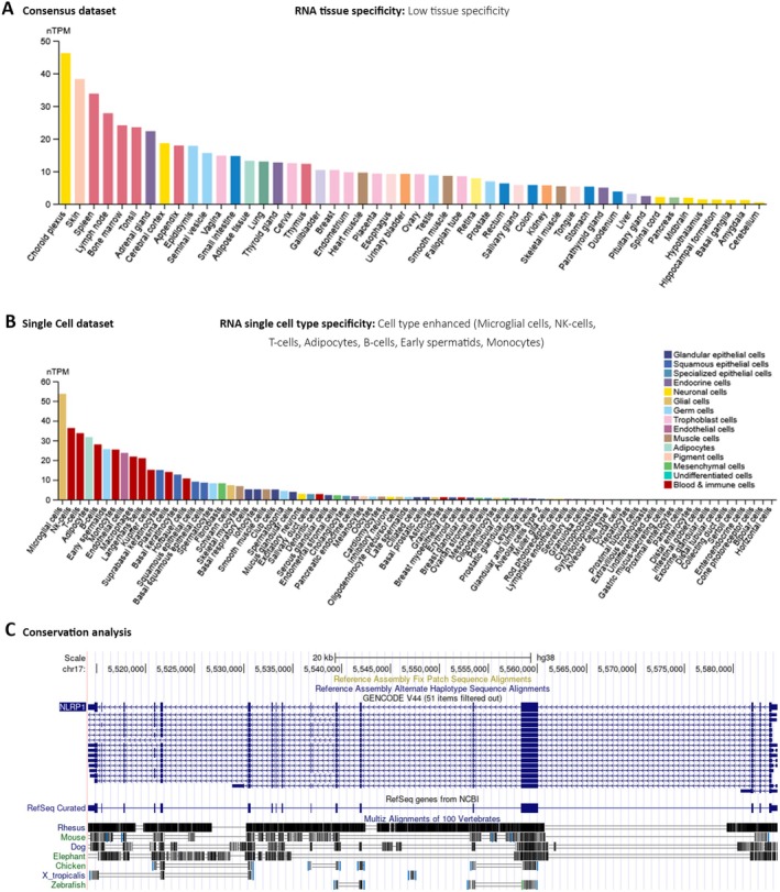PMC12001265 – cam470836-fig-0001