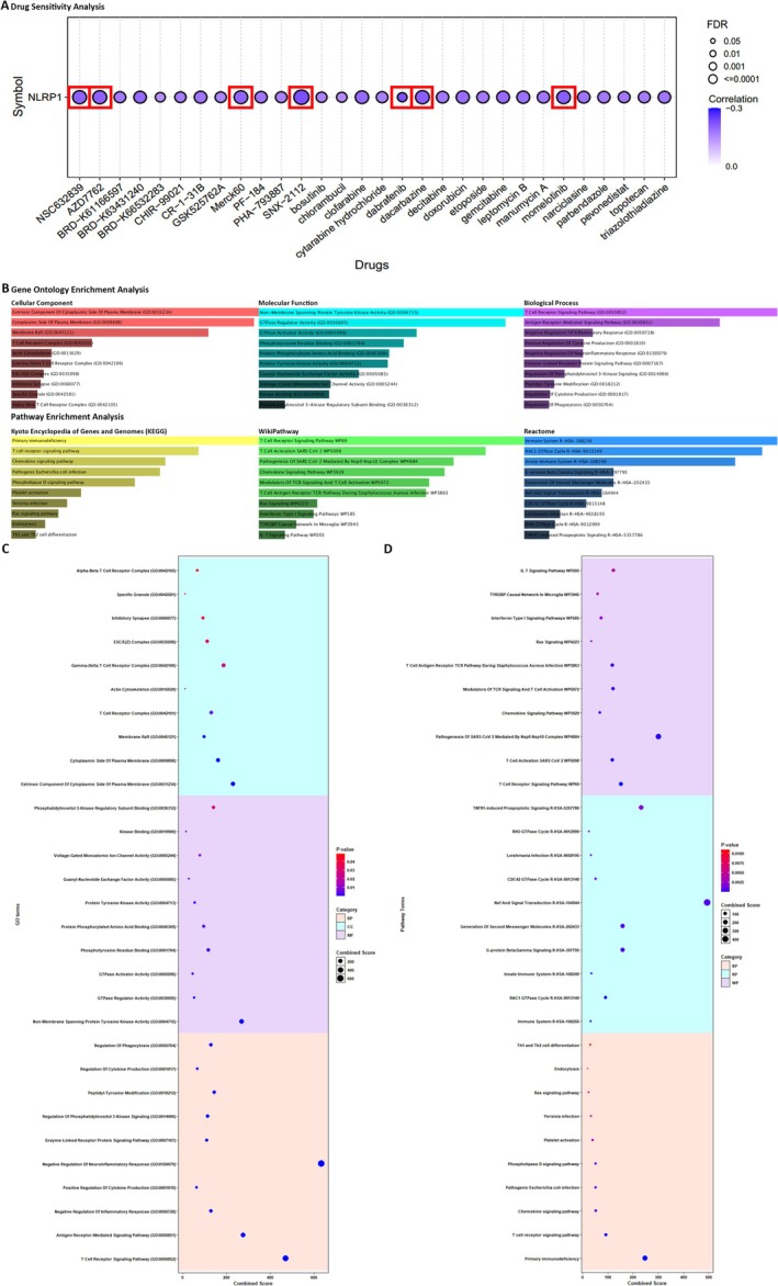 PMC12001265 – cam470836-fig-0006