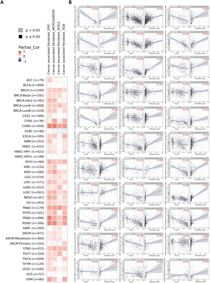 PMC12001265 – cam470836-fig-0007