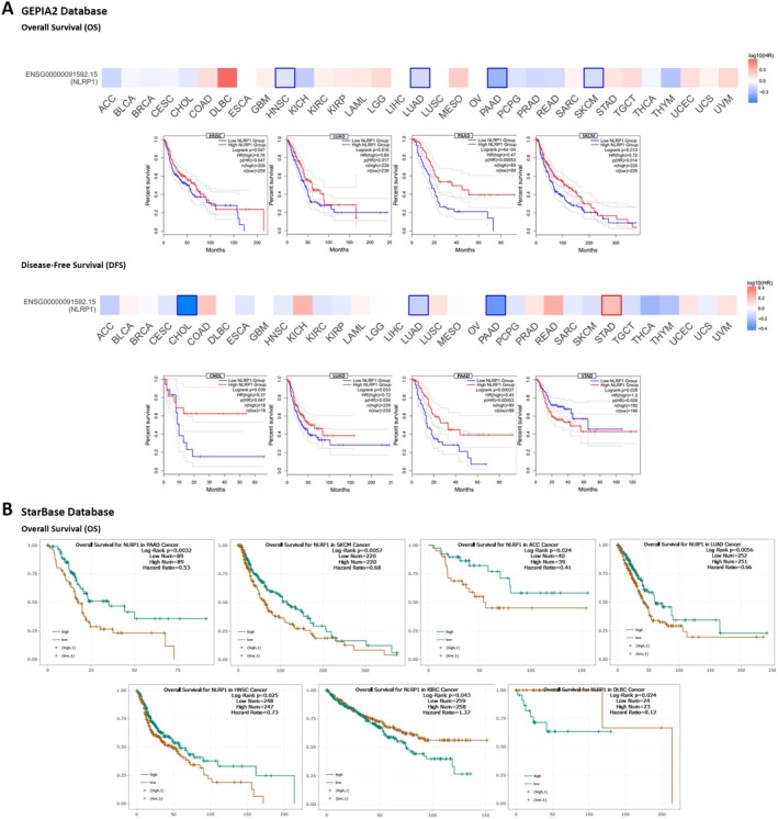 PMC12001265 – cam470836-fig-0005