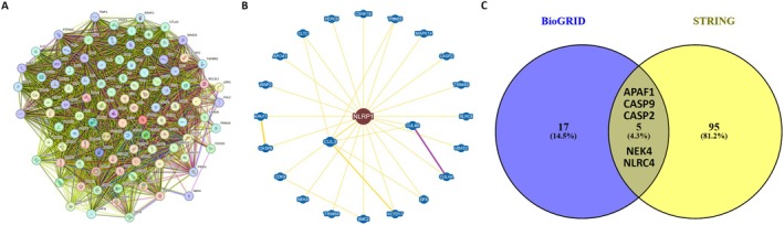 PMC12001265 – cam470836-fig-0009
