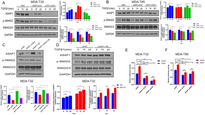 PMC12311982 – cam471075-fig-0005