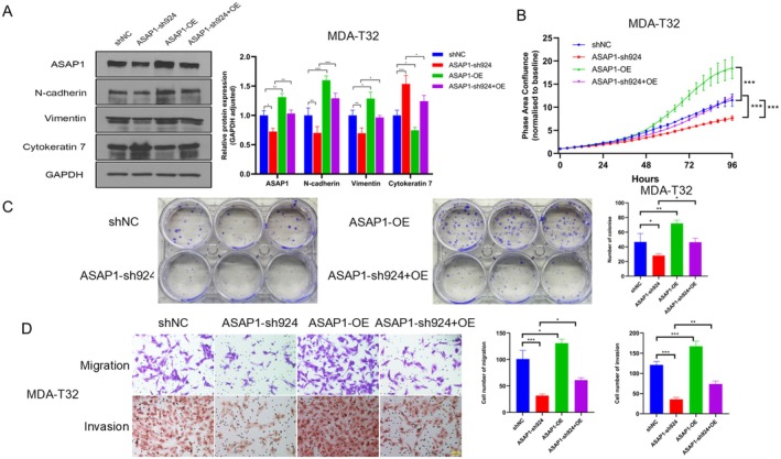 PMC12311982 – cam471075-fig-0004