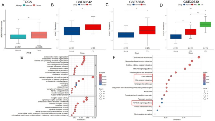 PMC12311982 – cam471075-fig-0001