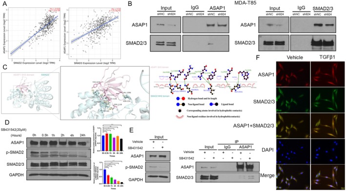 PMC12311982 – cam471075-fig-0007