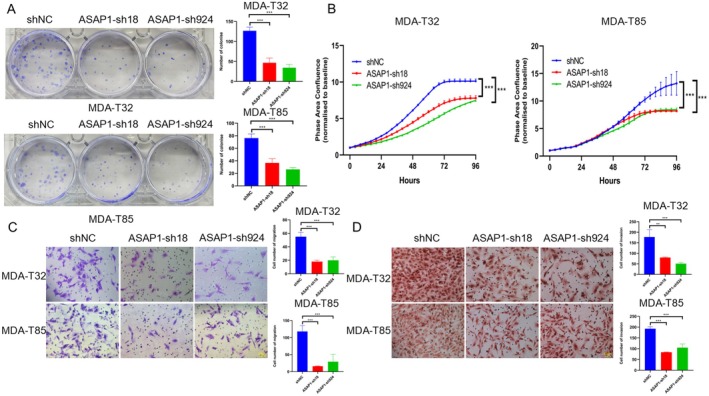 PMC12311982 – cam471075-fig-0003
