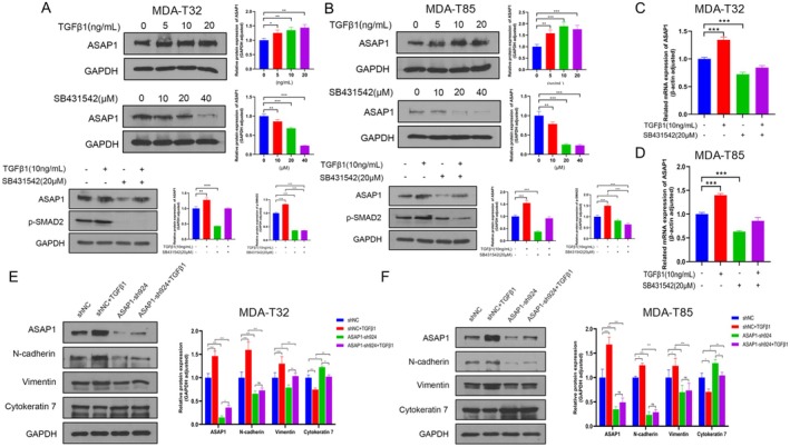 PMC12311982 – cam471075-fig-0006