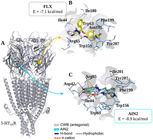 PMC12533794 – cbdv70079-fig-0009