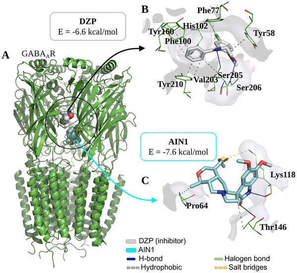 PMC12533794 – cbdv70079-fig-0008
