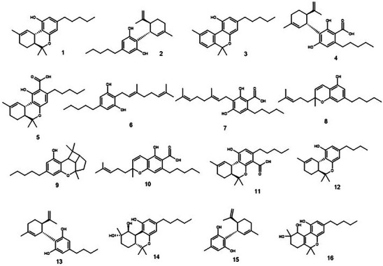 PMC12533798 – cbdv70019-fig-0002