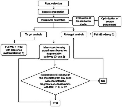 PMC12533798 – cbdv70019-fig-0001
