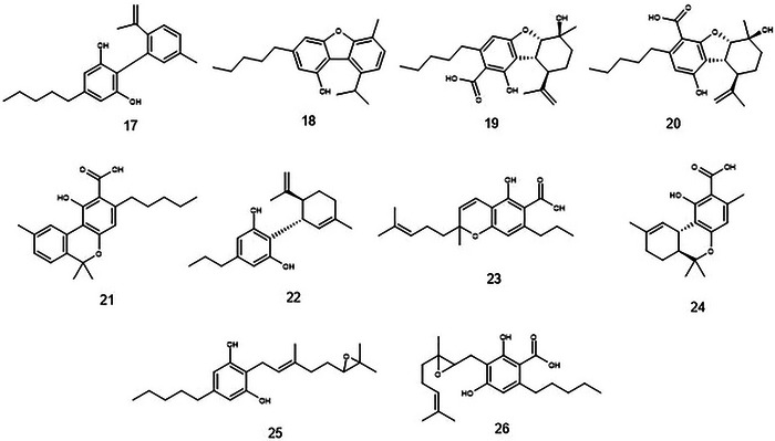PMC12533798 – cbdv70019-fig-0003