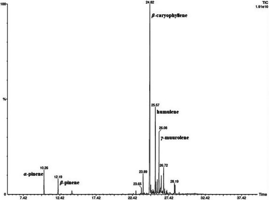 PMC12629161 – cbdv70259-fig-0002