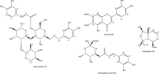 PMC12629161 – cbdv70259-fig-0003