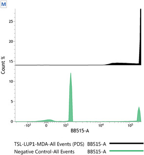 PMC12629173 – cbdv70168-fig-0007