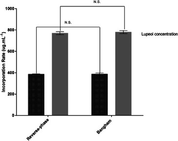 PMC12629173 – cbdv70168-fig-0002