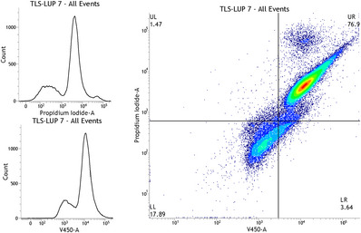 PMC12629173 – cbdv70168-fig-0006