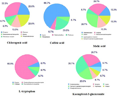 PMC12533807 – cbdv70100-fig-0003