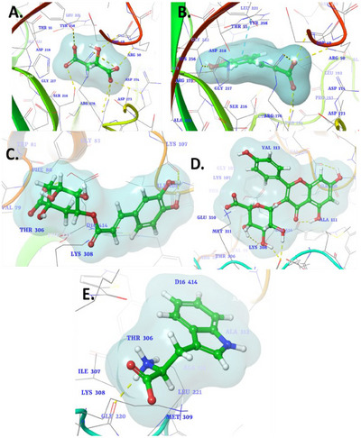 PMC12533807 – cbdv70100-fig-0002